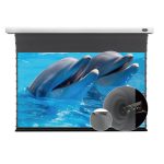 VIVIDSTORM ALR P Acoustically Transparent Slimline Motorised Drop Down Standard/Long Throw Projector Screen：圖片 12
