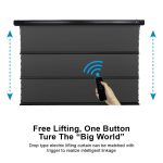 VIVIDSTORM ALR Slimline Motorised Drop Down Standard/Long Throw Projector Screen：圖片 4