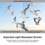 VIVIDSTORM ALR Slimline Motorised Drop Down Standard/Long Throw Projector Screen：圖片 5