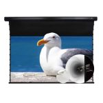 VIVIDSTORM Slimline P Acoustically Transparent Cinema White Motorised Drop Down Projector Screen - Image 15