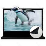 VIVIDSTORM TITAN 160"-200" Motorized Tension Floor Rising ALR Projector Screen：圖片 3