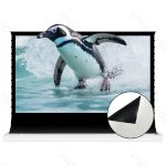 VIVIDSTORM TITAN 160"-200" Motorized Tension Floor Rising ALR Projector Screen：圖片 4